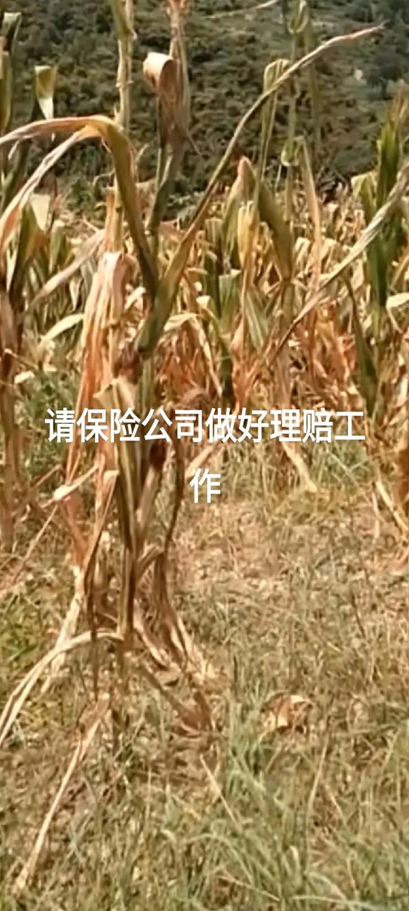 提升熱風(fēng)槍加熱效率的十個實用操作技巧