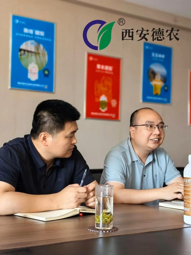 高效電動工具選購秘籍讓你的工作事半功倍