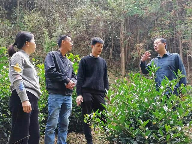 如何使用JZR工電批提高工作效率和動(dòng)力