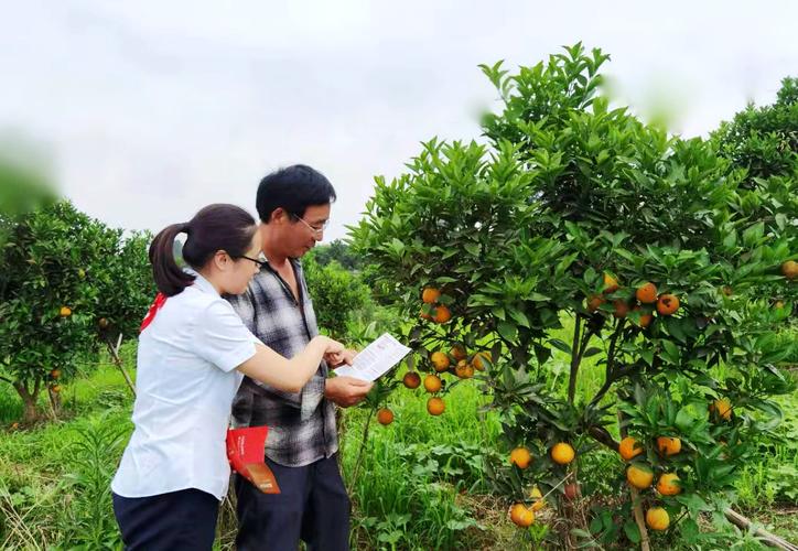 ZCUT帶切割機優(yōu)化生產(chǎn)線工作效率的最佳選擇